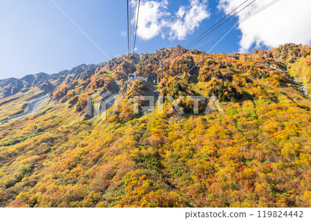 <富山縣>黑部平和立山黑部阿爾卑斯山脈的紅葉 119824442