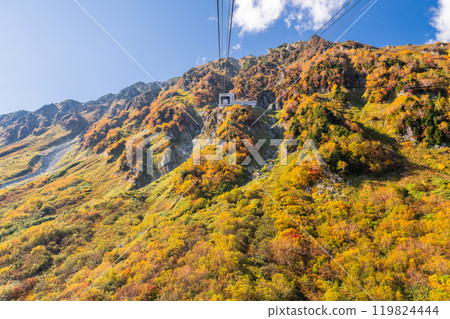 <富山縣>黑部平和立山黑部阿爾卑斯山脈的紅葉 <富山縣>黑部平和立山黑部阿爾卑斯山脈的紅葉 119824444