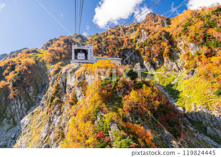 <富山縣>黑部平和立山黑部阿爾卑斯山脈的紅葉 <富山縣>黑部平和立山黑部阿爾卑斯山脈的紅葉 119824445