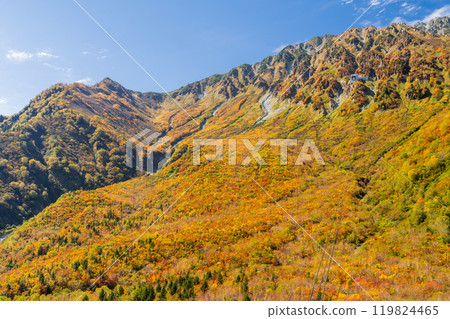<Toyama Prefecture> Autumn leaves of Kurobedaira and Tateyama Kurobe Alpine Route <Toyama Prefecture> Autumn leaves of Kurobedaira and Tateyama Kurobe Alpine Route 119824465