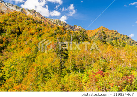 <Toyama Prefecture> Autumn leaves of Kurobedaira and Tateyama Kurobe Alpine Route <Toyama Prefecture> Autumn leaves of Kurobedaira and Tateyama Kurobe Alpine Route 119824467