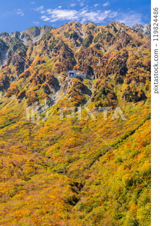 <富山縣>黑部平和立山黑部阿爾卑斯山脈的紅葉 119824486