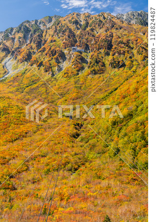 <富山縣>黑部平和立山黑部阿爾卑斯山脈的紅葉 119824487