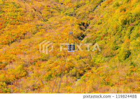 <富山縣>黑部平和立山黑部阿爾卑斯山脈的紅葉 <富山縣>黑部平和立山黑部阿爾卑斯山脈的紅葉 119824488