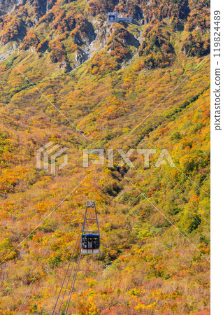 <富山縣>黑部平和立山黑部阿爾卑斯山脈的紅葉 <富山縣>黑部平和立山黑部阿爾卑斯山脈的紅葉 119824489