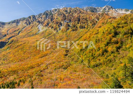 <Toyama Prefecture> Autumn leaves of Kurobedaira and Tateyama Kurobe Alpine Route 119824494
