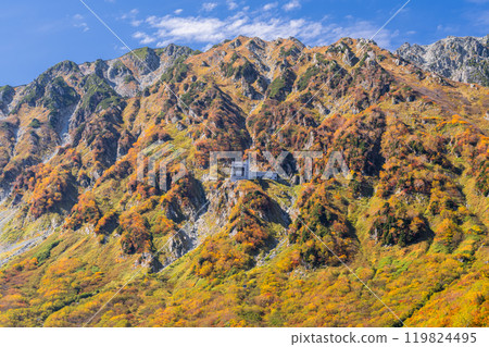 <富山縣>黑部平和立山黑部阿爾卑斯山脈的紅葉 119824495