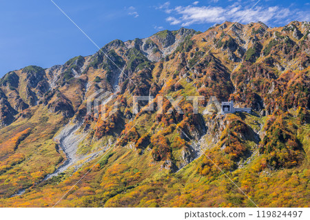 <富山縣>黑部平和立山黑部阿爾卑斯山脈的紅葉 <富山縣>黑部平和立山黑部阿爾卑斯山脈的紅葉 119824497