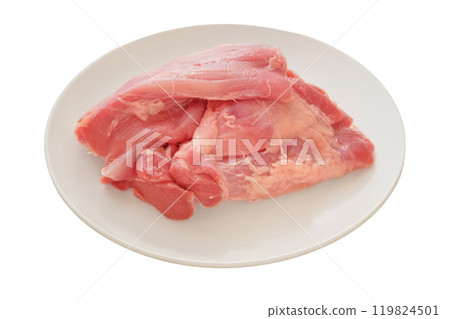 Turkey fillet in plate isolated in white background. Raw meat for cooking. Cooking food at home. 119824501