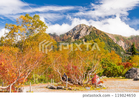 《富山縣》立山秋色黑部阿爾卑斯山脈路線黑部平花園 119824650