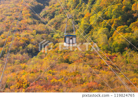 <Toyama Prefecture> Autumn leaves of Kurobedaira and Tateyama Kurobe Alpine Route 119824765