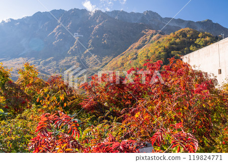 <富山縣>黑部平和立山黑部阿爾卑斯山脈的紅葉 119824771