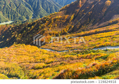 Toyama Prefecture: Autumn foliage at Tateyama Kurobe Alpine Route and Daikanbo Cloud Terrace Toyama Prefecture: Autumn foliage at Tateyama Kurobe Alpine Route and Daikanbo Cloud Terrace 119824918
