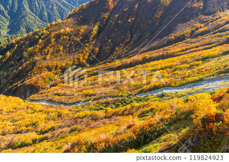 Toyama Prefecture: Autumn foliage at Tateyama Kurobe Alpine Route and Daikanbo Cloud Terrace 119824923