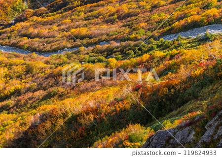 《富山縣》立山黑部阿爾卑斯山脈路線/大觀峰雲城露台的紅葉 《富山縣》立山黑部阿爾卑斯山脈路線/大觀峰雲城露台的紅葉 119824933