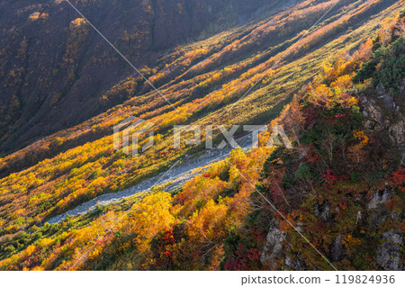 《富山縣》立山黑部阿爾卑斯山脈路線/大觀峰雲城露台的紅葉 119824936