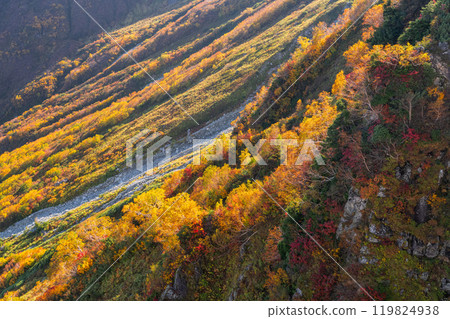 《富山縣》立山黑部阿爾卑斯山脈路線/大觀峰雲城露台的紅葉 119824938