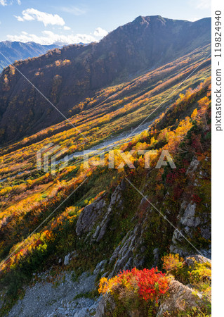 《富山縣》立山黑部阿爾卑斯山脈路線/大觀峰雲城露台的紅葉 119824940