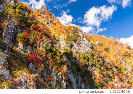 《富山縣》立山黑部阿爾卑斯山脈路線和大觀寶的秋葉 119824996