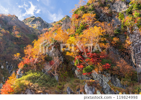 《富山縣》立山黑部阿爾卑斯山脈路線和大觀寶的秋葉 《富山縣》立山黑部阿爾卑斯山脈路線和大觀寶的秋葉 119824998