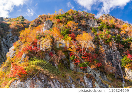 《富山縣》立山黑部阿爾卑斯山脈路線和大觀寶的秋葉 119824999