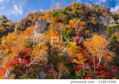 《Toyama Prefecture》Autumn leaves of Tateyama Kurobe Alpine Route and Daikanbo 119825000