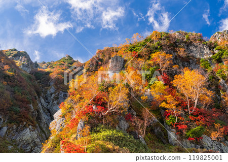 《富山縣》立山黑部阿爾卑斯山脈路線和大觀寶的秋葉 《富山縣》立山黑部阿爾卑斯山脈路線和大觀寶的秋葉 119825001