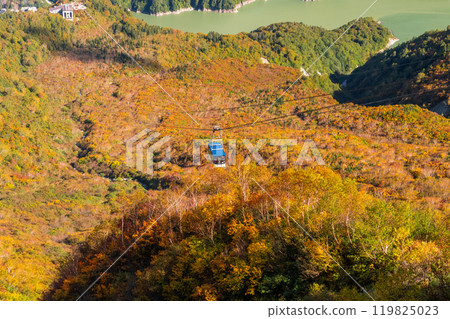 《富山縣》立山黑部阿爾卑斯山脈路線/大觀峰雲城露台的紅葉 《富山縣》立山黑部阿爾卑斯山脈路線/大觀峰雲城露台的紅葉 119825023
