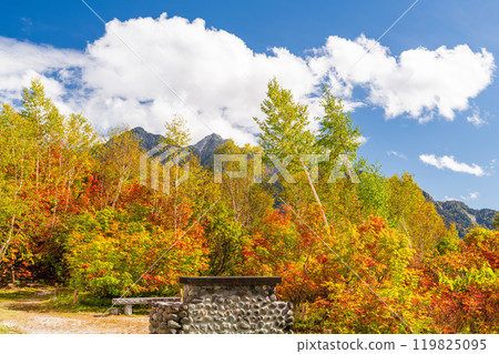 [長野縣] 山中的紅葉/秋天的黑部平 119825095