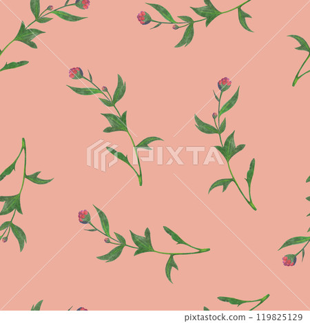 Chrysanthemum Flower Seamless Pattern. Floral Digital Paper. 119825129