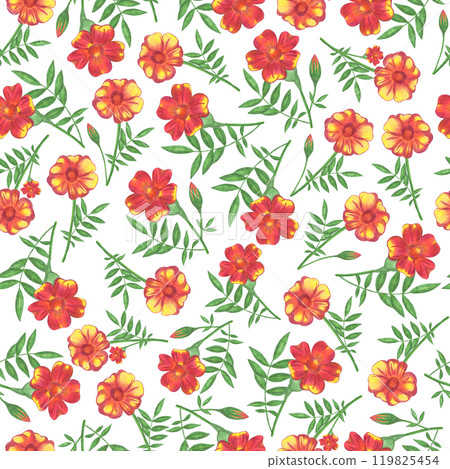 Marigold Flower Seamless Pattern. Floral Digital Paper. 119825454
