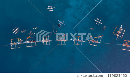 Aerial view Whale shark swimming in ocean, Oslob Whale Shark Watching, Whale shark watching in Oslob , Cebu , Philippines, Oslob, Cebu, Philippines. 119825460