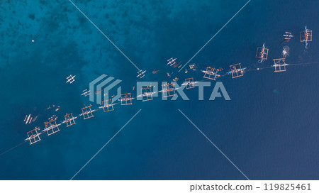 Aerial view Whale shark swimming in ocean, Oslob Whale Shark Watching, Whale shark watching in Oslob , Cebu , Philippines, Oslob, Cebu, Philippines. 119825461
