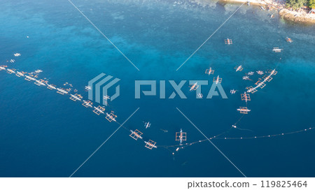 Aerial view Whale shark swimming in ocean, Oslob Whale Shark Watching, Whale shark watching in Oslob , Cebu , Philippines, Oslob, Cebu, Philippines. 119825464