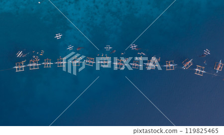 Aerial view Whale shark swimming in ocean, Oslob Whale Shark Watching, Whale shark watching in Oslob , Cebu , Philippines, Oslob, Cebu, Philippines. 119825465