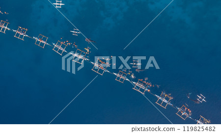 Aerial view Whale shark swimming in ocean, Oslob Whale Shark Watching, Whale shark watching in Oslob , Cebu , Philippines, Oslob, Cebu, Philippines. 119825482