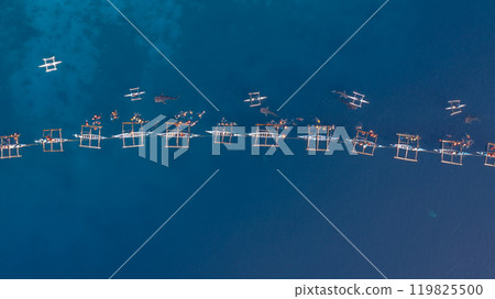 Aerial view Whale shark swimming in ocean, Oslob Whale Shark Watching, Whale shark watching in Oslob , Cebu , Philippines, Oslob, Cebu, Philippines. 119825500