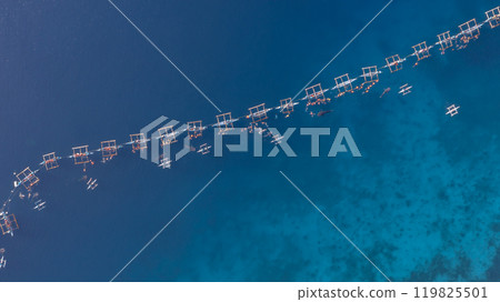 Aerial view Whale shark swimming in ocean, Oslob Whale Shark Watching, Whale shark watching in Oslob , Cebu , Philippines, Oslob, Cebu, Philippines. Aerial view Whale shark swimming in ocean, Oslob Whale Shark Watching, Whale shark watching in Oslob , Cebu , Philippines, Oslob, Cebu, Philippines. 119825501