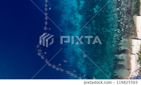 Aerial view Whale shark swimming in ocean, Oslob Whale Shark Watching, Whale shark watching in Oslob , Cebu , Philippines, Oslob, Cebu, Philippines. 119825503