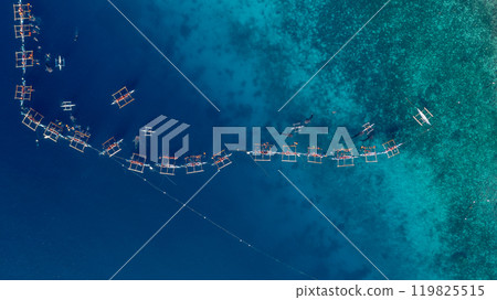 Aerial view Whale shark swimming in ocean, Oslob Whale Shark Watching, Whale shark watching in Oslob , Cebu , Philippines, Oslob, Cebu, Philippines. 119825515
