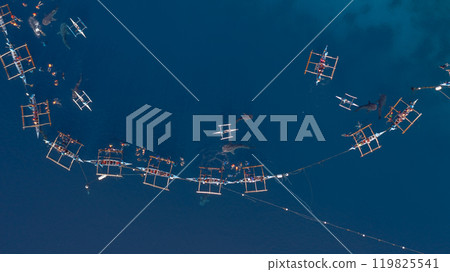 Aerial view Whale shark swimming in ocean, Oslob Whale Shark Watching, Whale shark watching in Oslob , Cebu , Philippines, Oslob, Cebu, Philippines. 119825541