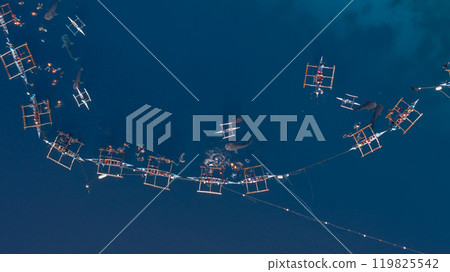 Aerial view Whale shark swimming in ocean, Oslob Whale Shark Watching, Whale shark watching in Oslob , Cebu , Philippines, Oslob, Cebu, Philippines. 119825542