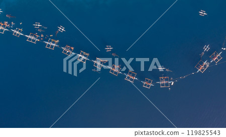 Aerial view Whale shark swimming in ocean, Oslob Whale Shark Watching, Whale shark watching in Oslob , Cebu , Philippines, Oslob, Cebu, Philippines. 119825543