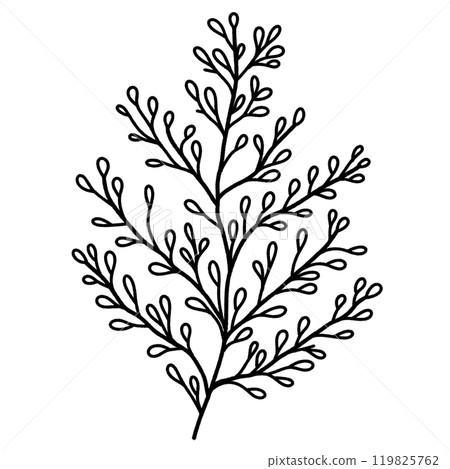Leaf branch Hand drawn Christmas Winter christianity religion graphic vector illustration isolated on white background color editable Leaf branch Hand drawn Christmas Winter christianity religion graphic vector illustration isolated on white background color editable 119825762