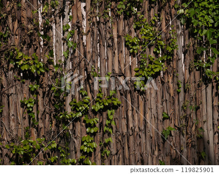 A wooden handmade fence from natural logs in a public park. 119825901