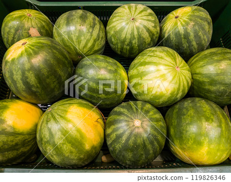 Watermelons on the counter in the store. Watermelons background Watermelons on the counter in the store. Watermelons background 119826346