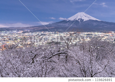 【山梨郡】富士山與白雪皚皚的新倉山淺間公園/日本雪景 【山梨郡】富士山與白雪皚皚的新倉山淺間公園/日本雪景 119826891