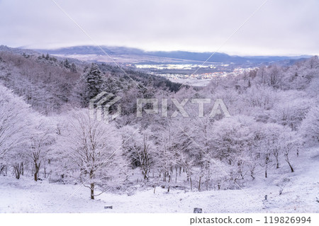 <Yamanashi Prefecture> Snowy scenery at Nijumagari Pass and Oshino Village in winter 119826994