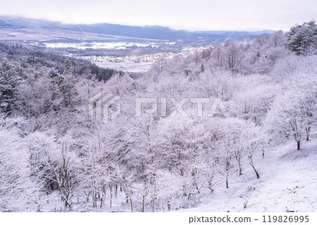 <Yamanashi Prefecture> Snowy scenery at Nijumagari Pass and Oshino Village in winter 119826995