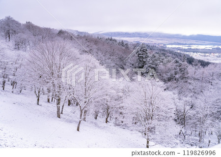 [山梨縣] 冬天的二宿熊嶺/忍野村的雪景 119826996